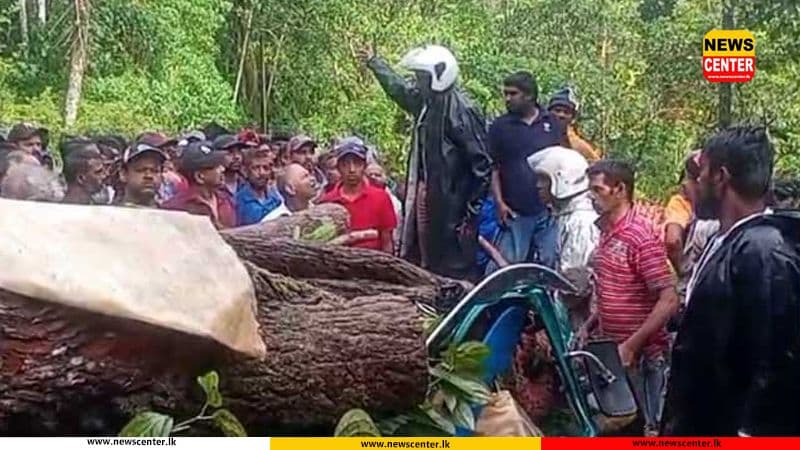 Three killed, including schoolboy, after tree falls on three-wheeler in Nawalapitiya